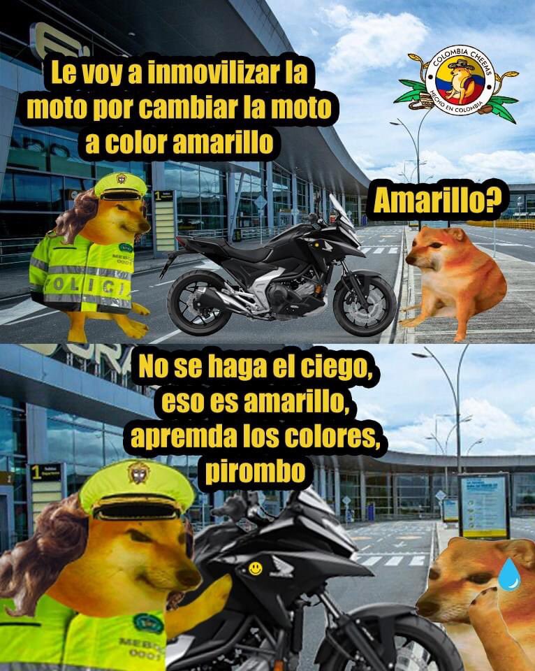 Moto Moto on X: @nacional_memes (?)  / X