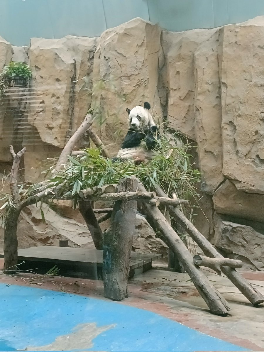 weihaimudan (@weihaimuda48116) on Twitter photo 