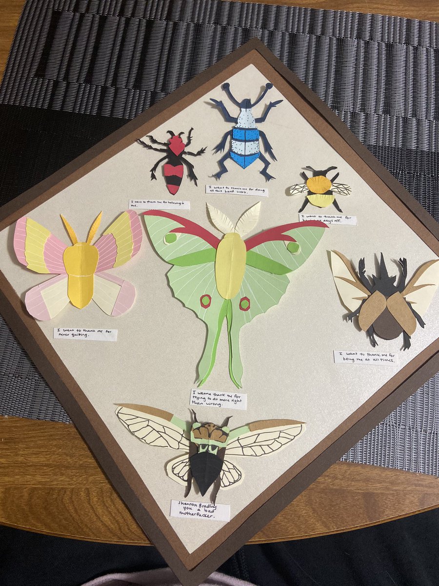 ShannonGraceB's tweet photo. Which layout do we like for my graduation cap? The insect in the center would sit on top of where the tassel goes for wash move. (Also I made the insects from paper) https://t.co/iXdLMabHKf
