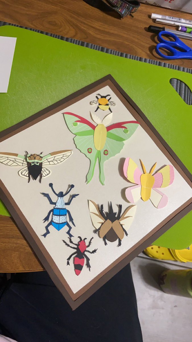 ShannonGraceB's tweet photo. Which layout do we like for my graduation cap? The insect in the center would sit on top of where the tassel goes for wash move. (Also I made the insects from paper) https://t.co/iXdLMabHKf
