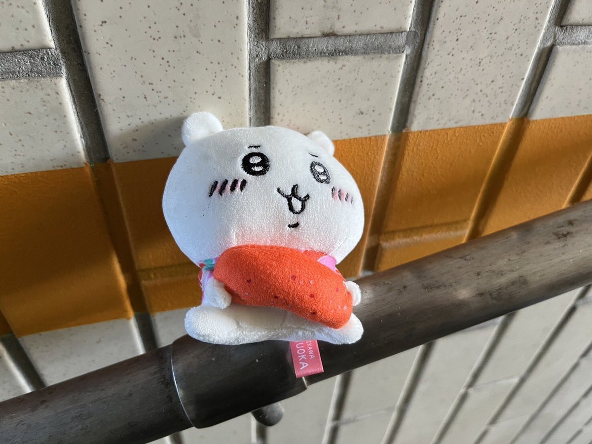 7Mjz3's tweet photo. 助かるか助からないか

#ちいかわ https://t.co/StrBsV8ptX