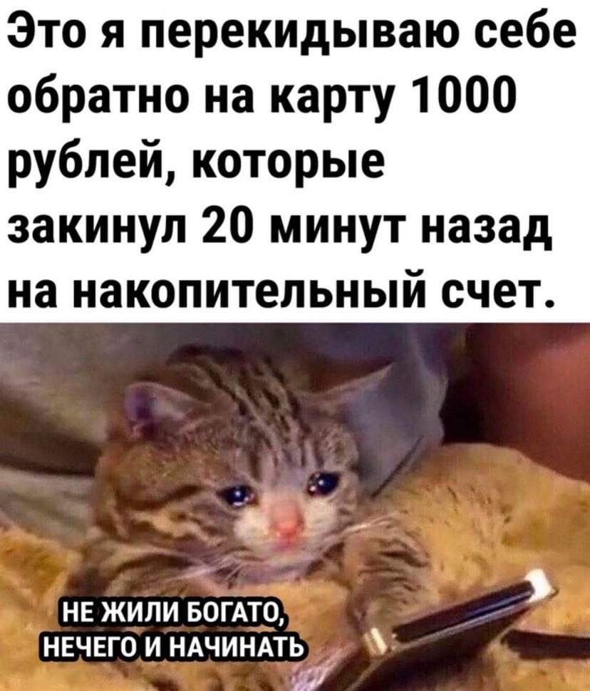 IrRostova's tweet photo. Муд моей работы каждый день https://t.co/uazaP43tAF