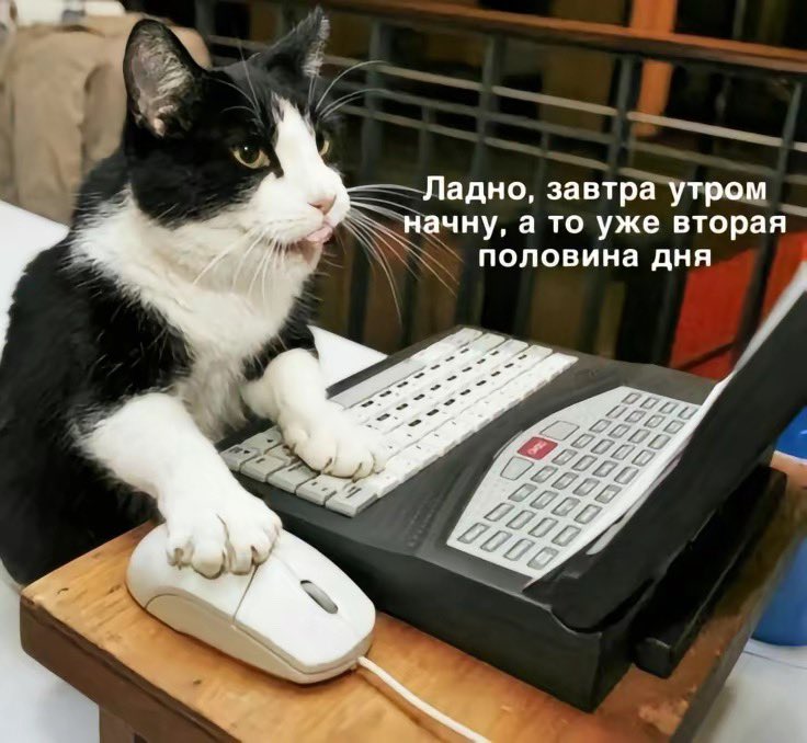 IrRostova's tweet photo. Муд моей работы каждый день https://t.co/uazaP43tAF