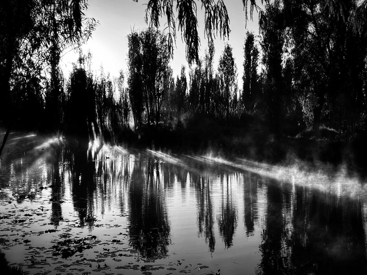 Xochimilqueando de madrugada.
#Xochimilco patrimonio cultural de la Humanidad.  #cdmx #NatureLover