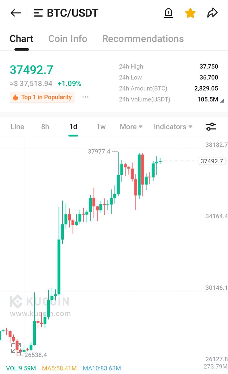 MANDO CT 🇮🇪 🇦🇪 🇬🇧 tweet media