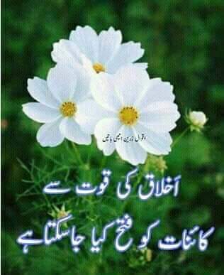 💚HANIYA 💚 tweet media