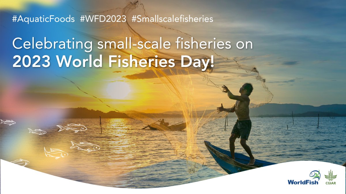 💡#Smallscalefisheries define the #livelihoods, #nutrition, & culture of ~492 million people, including coastal, inland, rural, and Indigenous people. This #WorldFisheriesDay, join us in celebrating the role they play in aquatic #foodsystems! Source👉 tinyurl.com/WFpubs2311b