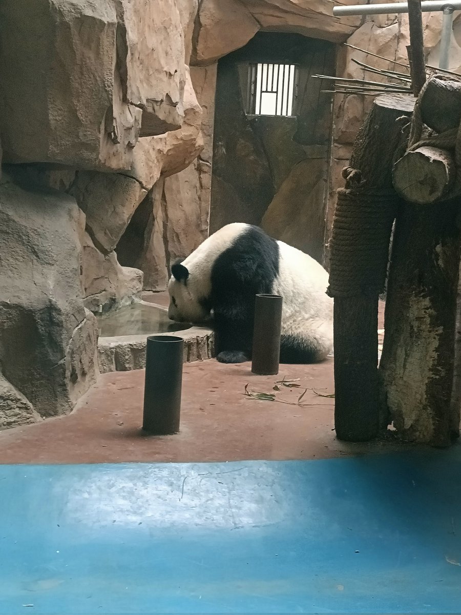 weihaimudan (@weihaimuda48116) on Twitter photo 