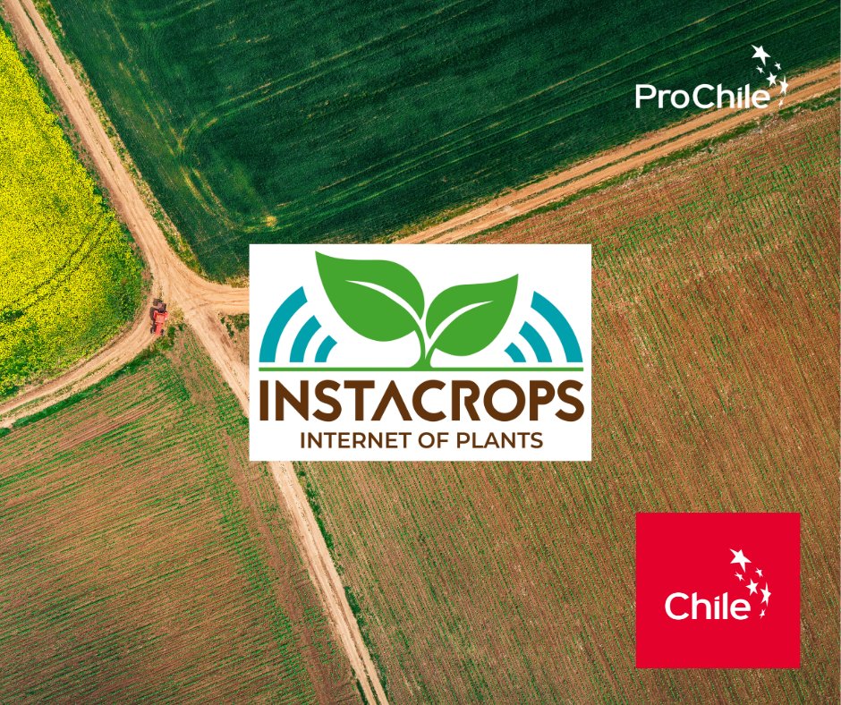 🪴 Meet <a href="/instacrops/">Instacrops Inc.</a> , the most powerful #AgTech full stack platform in Latin America! 🌎 Instacrops will be joining #ProChile at #COP28 in #Dubai to showcase its innovative technology and share its expertise in sustainable agriculture #SustainableDevelopment #instacrops #Agritech