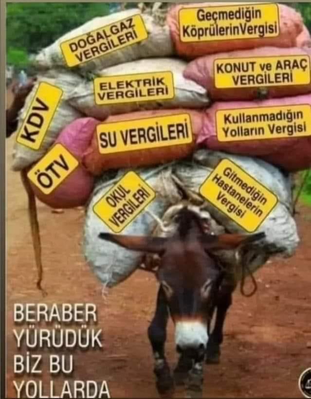 Aydın Yücekök (@yucekokn) on Twitter photo 