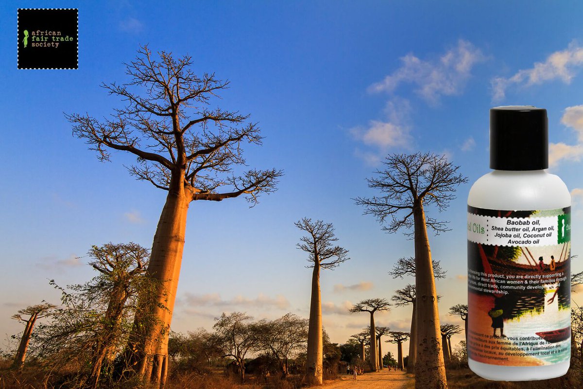 What Is Baobab? Key Things You Should Be Aware of!
tinyurl.com/5rkw49kr
#ontheblog #buybaobaboil #healthbenefit #buybaobab #baobabtree #whatisbaobab #naturalpower #baobaboilonline #baobabbenefit #skincare #baobab #oil #onlinebaobaboil #vancouver #canada