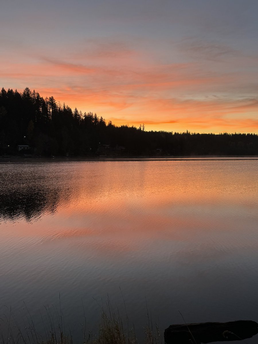 Matt Poarch tweet media