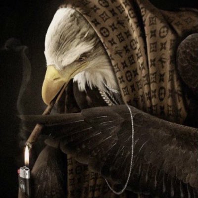 Blaine tweet media