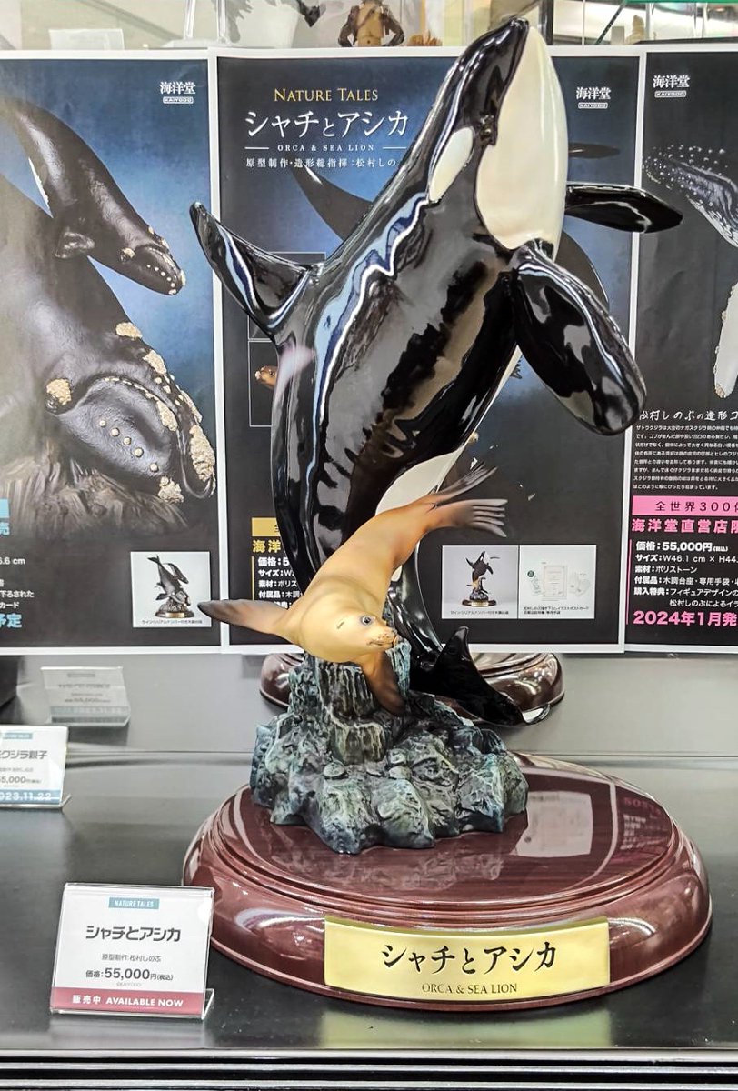 海洋堂ホビーロビー東京|秋葉原ラジオ会館 on X: 海洋堂ホビーロビー東京|秋葉原ラジオ会館 on X: