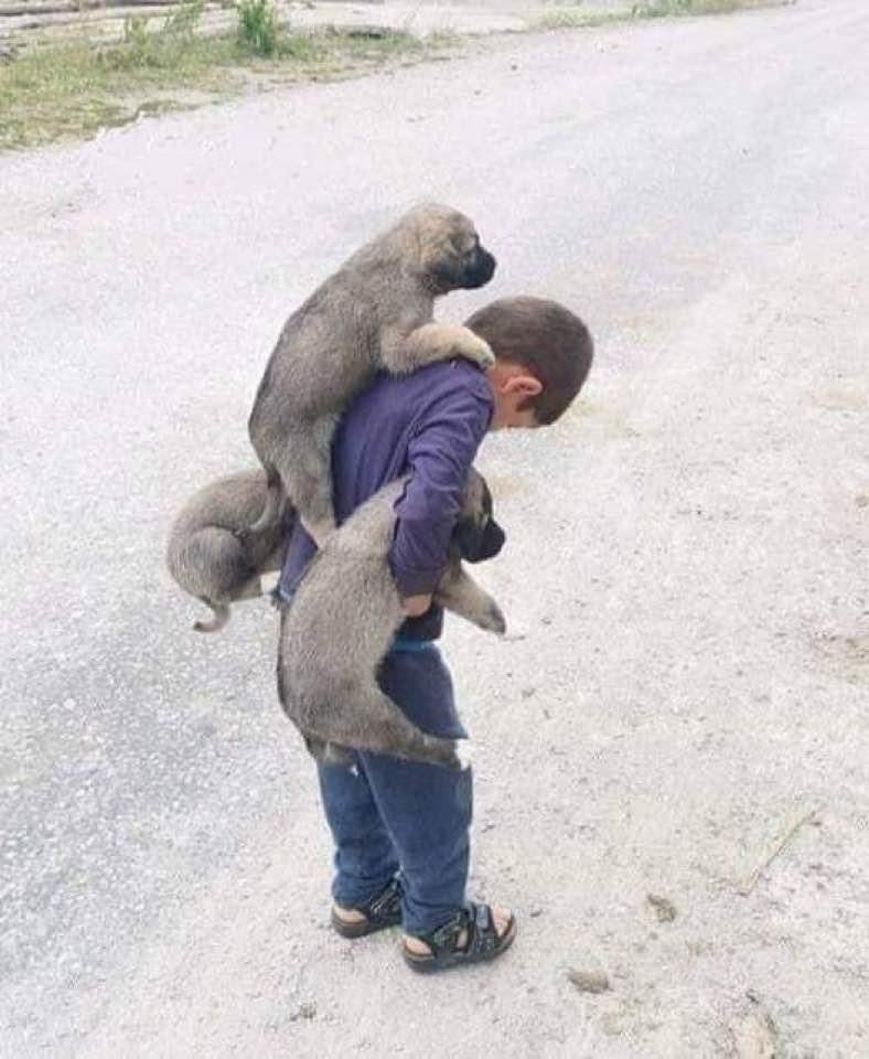 #okullar
Bu dünyada mutlu olmayı en çok hak eden hayvanlar ve çocuklar ve ne yazık ki en çok acı çeken de onlar..
Dünya Çocuk Hakları Günü