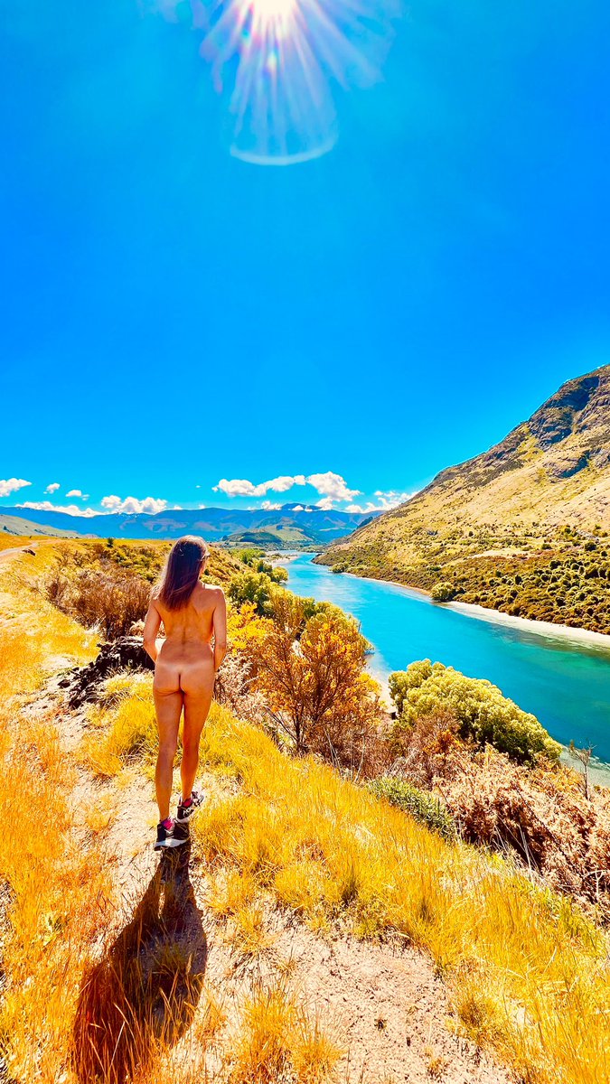 SexyTraveler tweet media