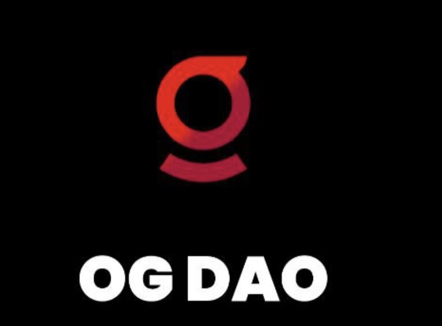 OG DAO ⚡ tweet media