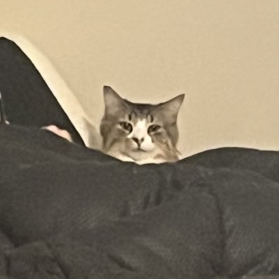 DowellRod's tweet image. #NewProfilePic