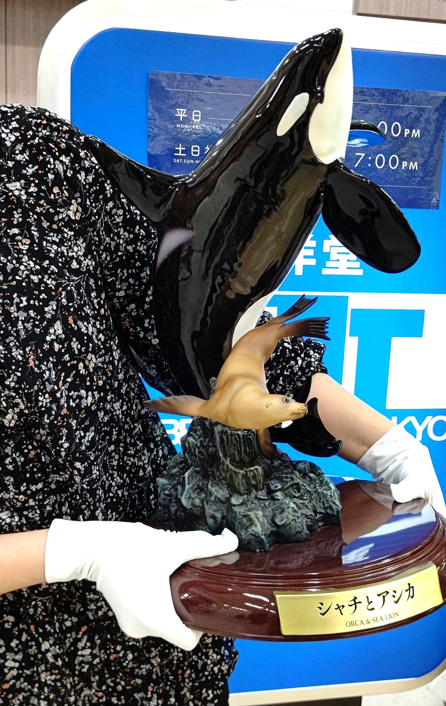 海洋堂ホビーロビー東京｜秋葉原ラジオ会館 on X: 