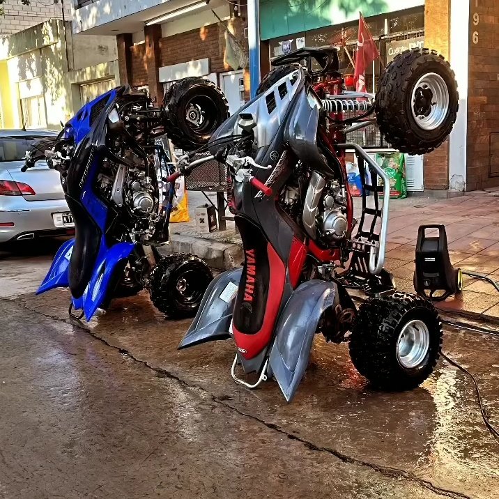 Felicidad es tener amistades con los mismos gustos y locuras.