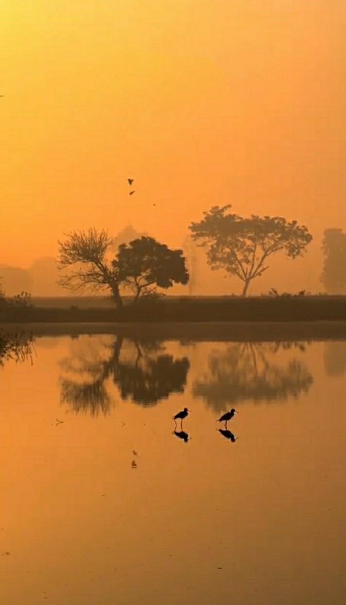 Perfect Pixels tweet media