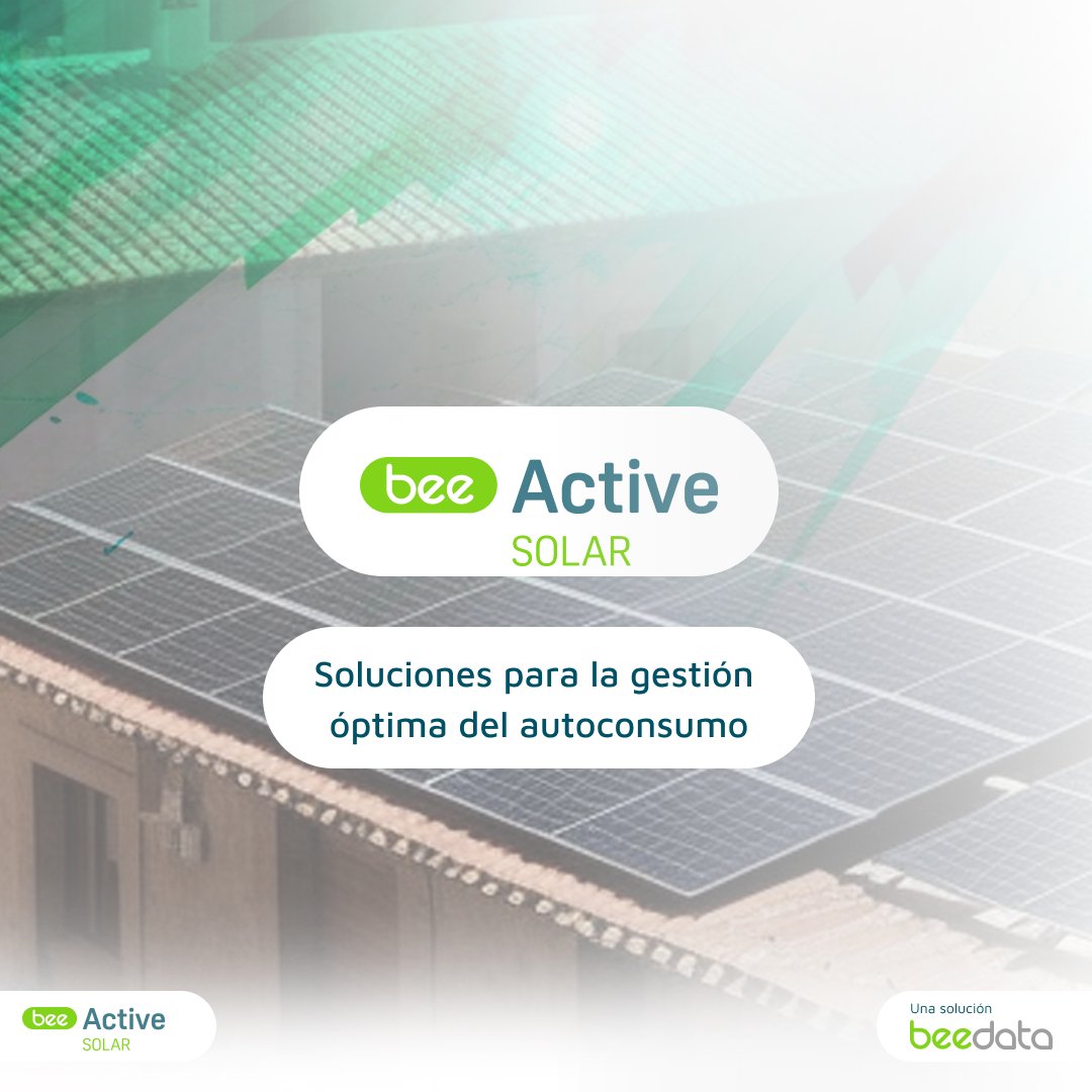 BEEDATA ANALYTICS tweet media