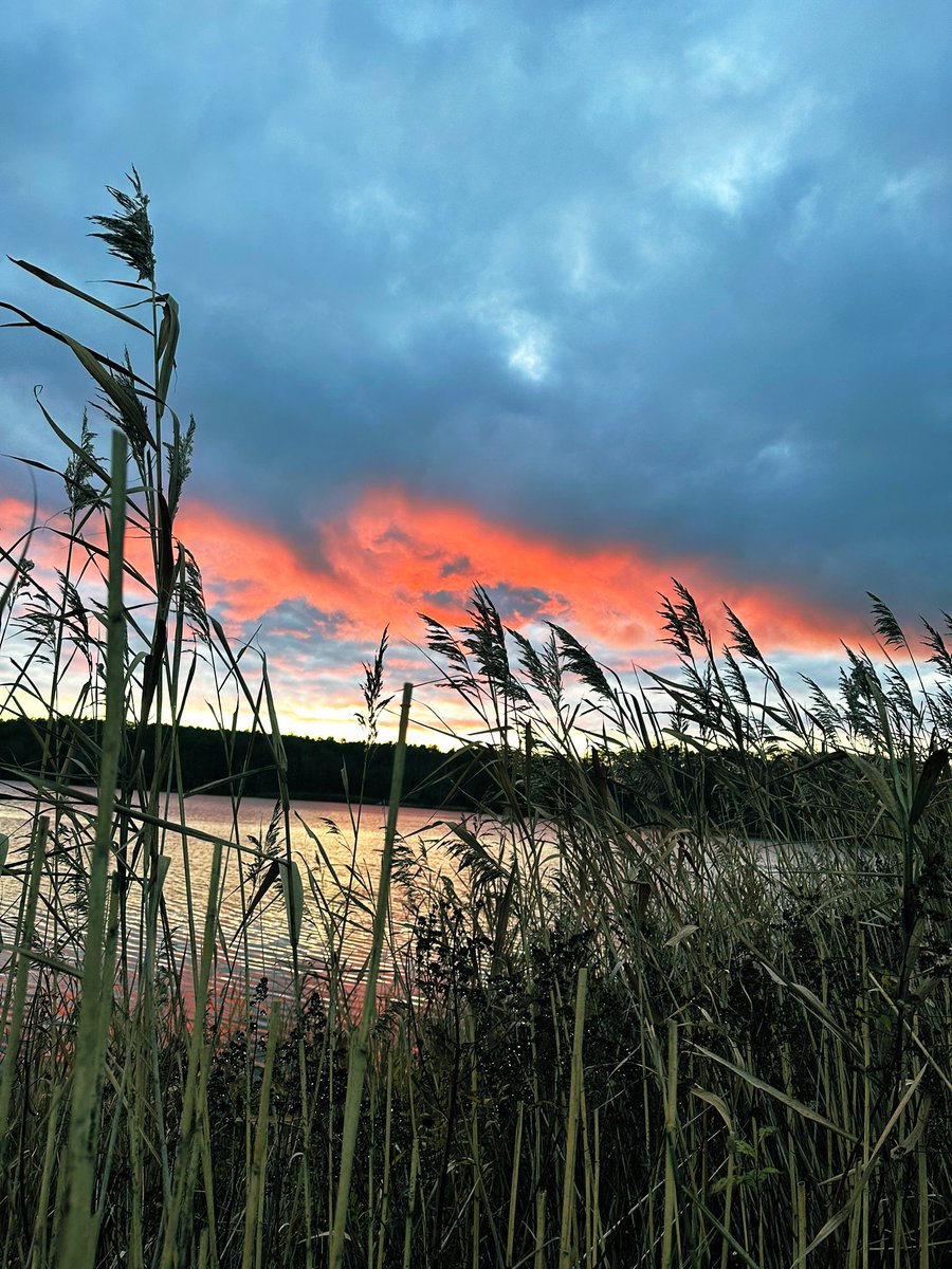 flyingbeagles's tweet image. UTI #infection
Beach sand and roses
Ocean breezes and crashing waves
#Palatial beauty surrounds you
Stars gazing upon you 
Sweat and sweetness
Unexpected pleasure
Leaving #arrowheads of pain
Digging your skin
Days of regret
Doctors visit

#vss365 
#OurPoetryx 
#Bravewrite