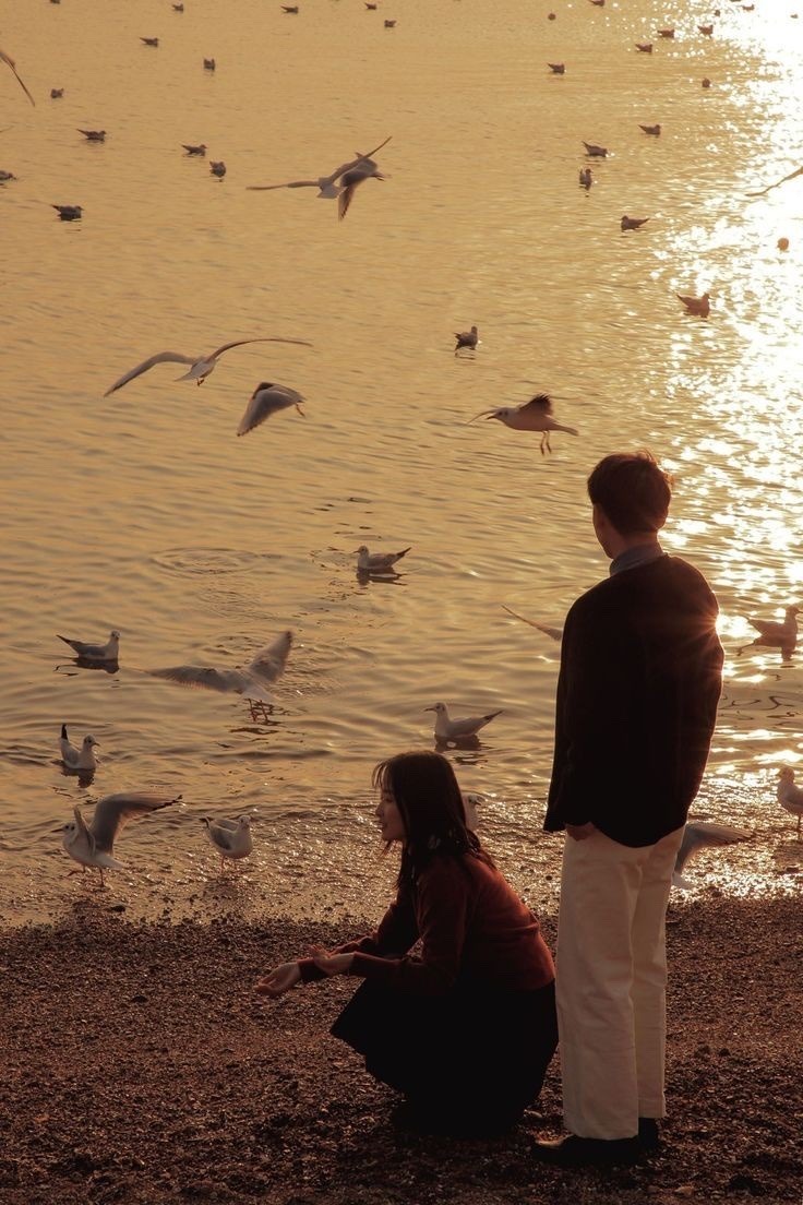 poetical photos. (@poeticalphotos) on Twitter photo 