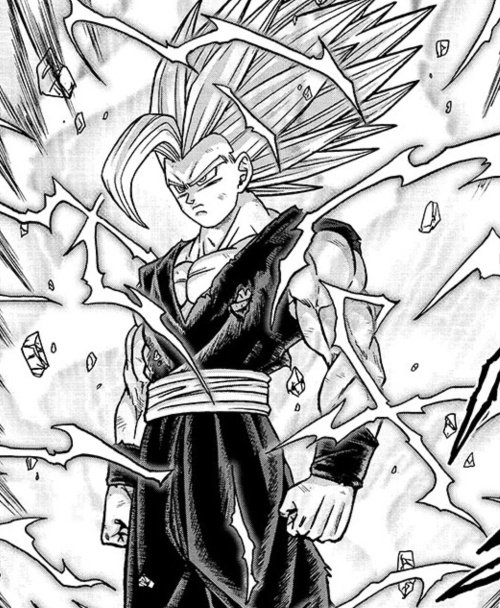 Dragon Ball Super: First look at the 100th chapter of the manga with Gohan  Beast unleashed - Meristation