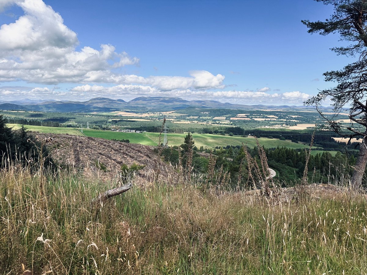 ScottishLandCom's tweet photo. In his latest blog CEO @HamishTrench looks at what the Commission’s research and advice says about land and property tax reform.

Read more here https://t.co/1yb6HMuaC3

#LandReform #TaxReform#LocalCarbonLandTax #GreenLandValueTax https://t.co/2z2szst82h