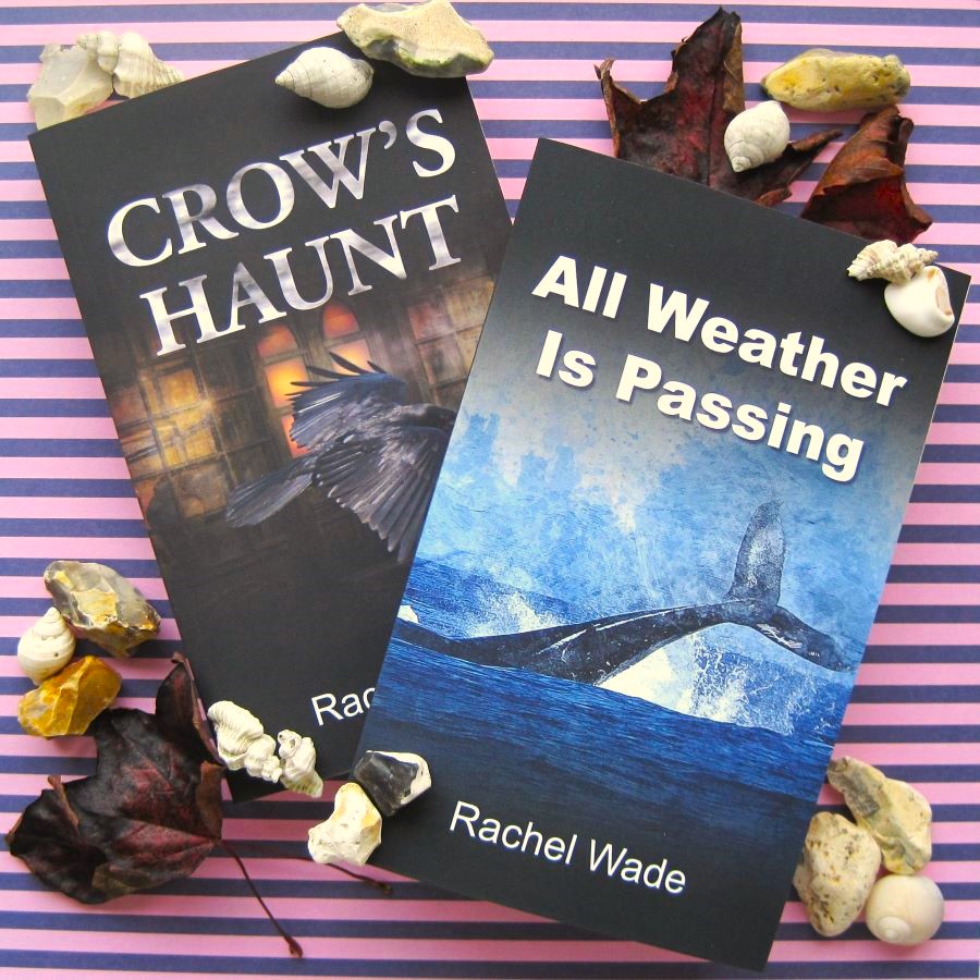 I now have two novels to choose from! 'Crow's Haunt' is set in Victorian York and sees a local carpenter trying to discover the truth behind his friend's murder, while 'All Weather Is Passing' takes you to Whitby and the unsolved case of a missing man. #books #reading