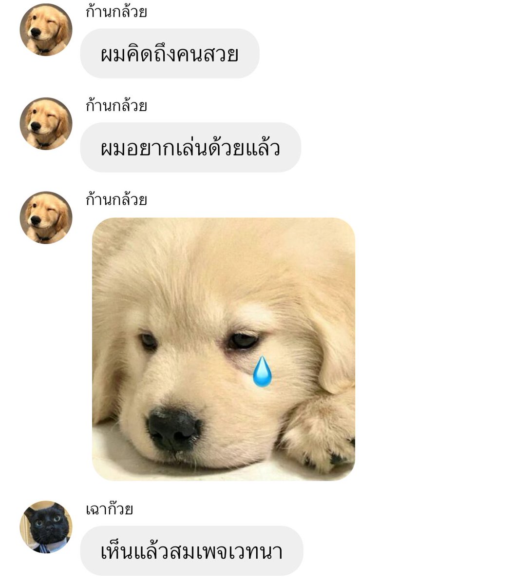 หมาดำตัวนี้ยังหวังดีกับเธอเสมอ (@tonnyhahaha) on Twitter photo 