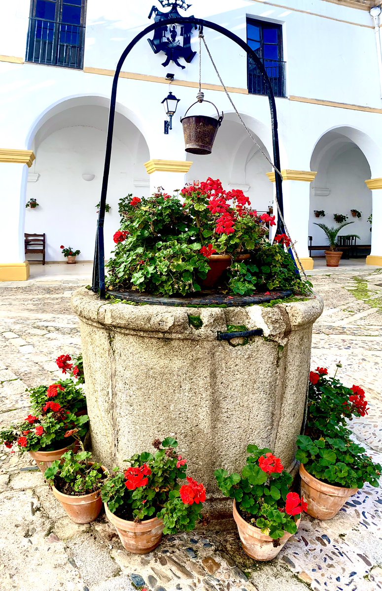 Hoy toca visita turística ☺️
#rutasconencanto
#jerezdeloscaballeros #conventualsanagustin

#mariangelessg