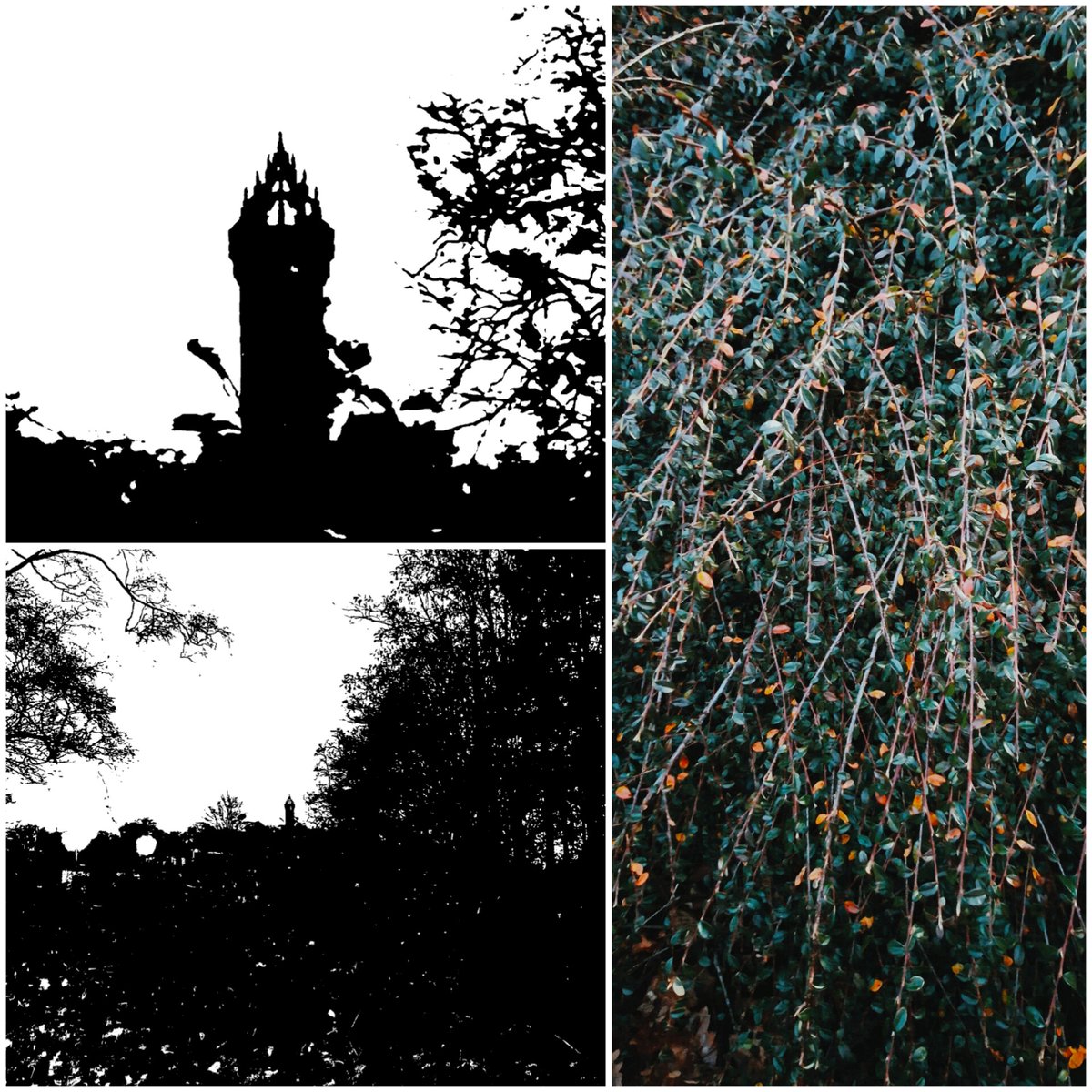 Jem Petrie (@jempetrie) on Twitter photo A day at <a href="/StirUni/">University of Stirling</a> with my daughter. Taking pics of interesting colours, shapes and textures that we see 👀 <a href="/AtherDes/">Catherine Watson</a> <a href="/artatstirling/">Art Collection, University of Stirling</a> <a href="/ArtlinkCentral/">Artlink Central</a> #studentmhn
#studentnurse #studentlife #UniversityofStirling #AutumnPhotography #mentalhealth A day at <a href="/StirUni/">University of Stirling</a> with my daughter. Taking pics of interesting colours, shapes and textures that we see 👀 <a href="/AtherDes/">Catherine Watson</a> <a href="/artatstirling/">Art Collection, University of Stirling</a> <a href="/ArtlinkCentral/">Artlink Central</a> #studentmhn
#studentnurse #studentlife #UniversityofStirling #AutumnPhotography #mentalhealth