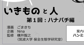 今、昆虫の漫画を描いているとちらっとお話しましたが… 年末の冬コミに出展致し、そこでの有料頒布となります。 人生コミケ初よ～! 年末にお手にとって頂けますよう!🙇‍♀️