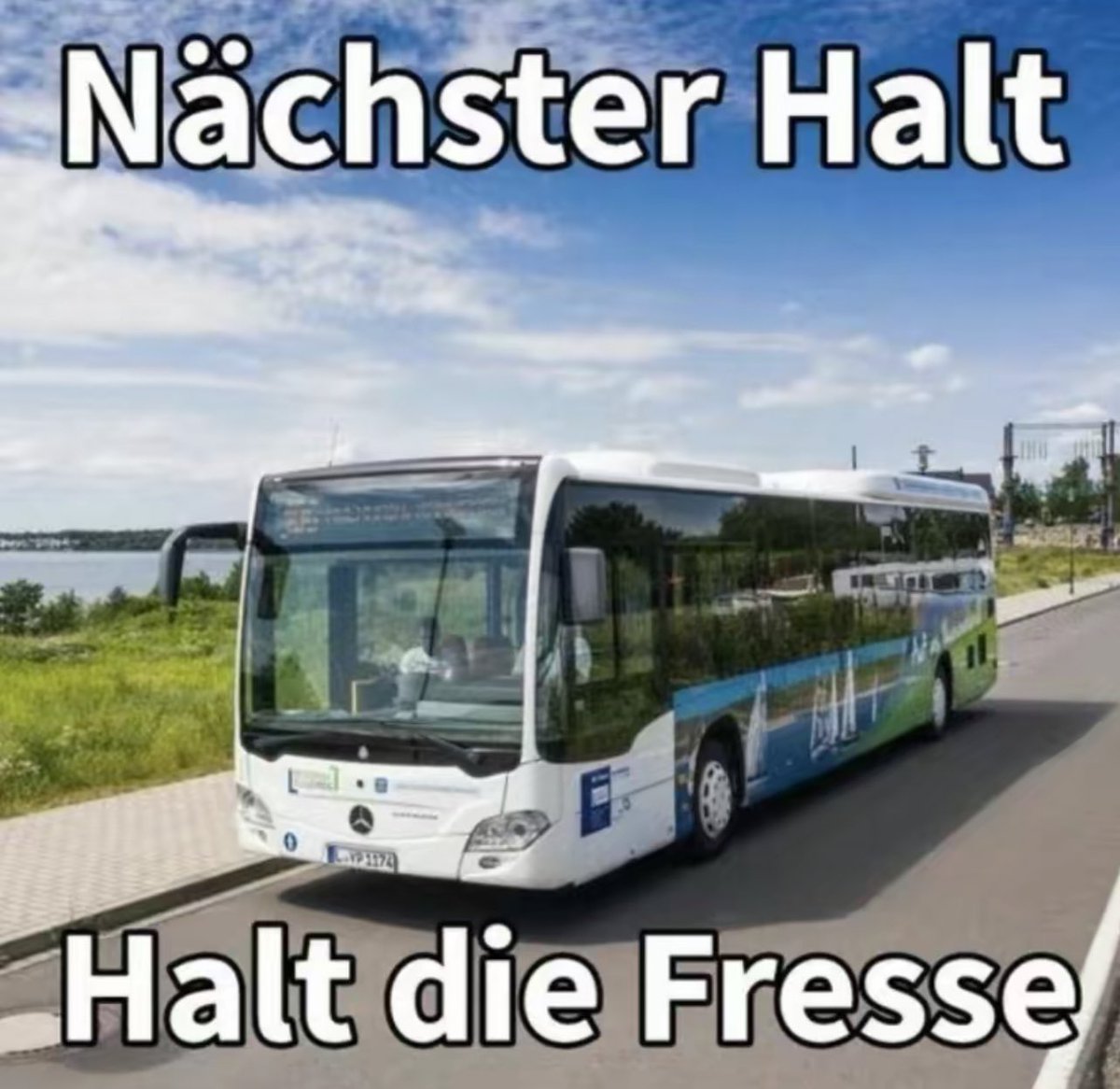 Janisch tweet media