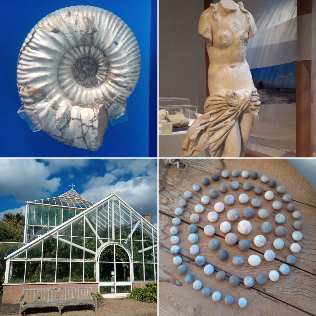 Vacancy- Our coordinator is leaving and so we're recruiting someone to take over the role. If you're keen to build research collaborations across our wide-ranging collections and beyond, we want to hear from you! Deadline 17th December
jobs.cam.ac.uk/job/43988/