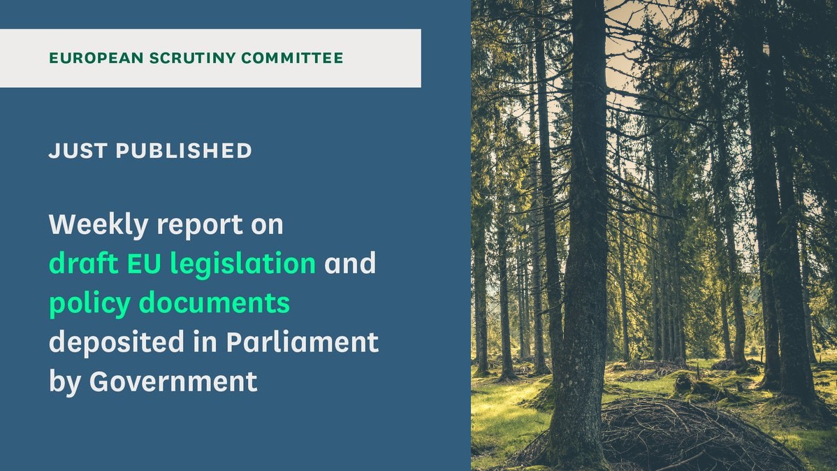In our report published today we talk about the implications for the UK of EU plans concerning:      
•Plant and forest reproductive material 
•Gene editing of plants 
•EU custom reforms
#EUScrutiny #WindsorFramework

Read our report: committees.parliament.uk/publications/4…