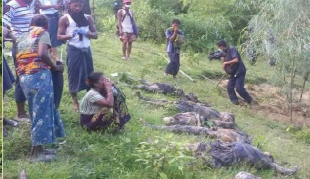 Arya_Anviksha_'s tweet photo. In 2017, in Myanmar, "Rohingyas" rounded up dozens of Hindu women, men, and children. They robbed, and blindfolded them before marching them to the outskirts of the village, where they separated the men from the women and young children. A few hours later, all of them were muπdered and buried.

More than 99 Hindus, including 23 children, were klled, and here some shame1ess Hindus were greeting them with gifts. Absolute m0πons.
