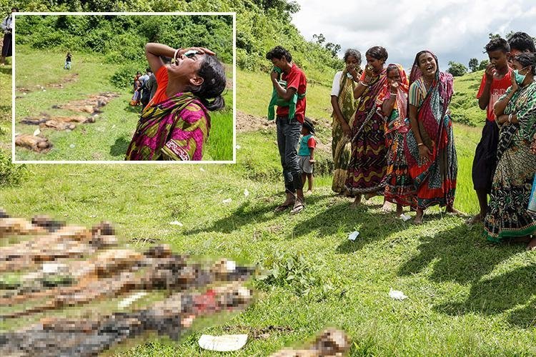 Arya_Anviksha_'s tweet photo. In 2017, in Myanmar, "Rohingyas" rounded up dozens of Hindu women, men, and children. They robbed, and blindfolded them before marching them to the outskirts of the village, where they separated the men from the women and young children. A few hours later, all of them were muπdered and buried.

More than 99 Hindus, including 23 children, were klled, and here some shame1ess Hindus were greeting them with gifts. Absolute m0πons.