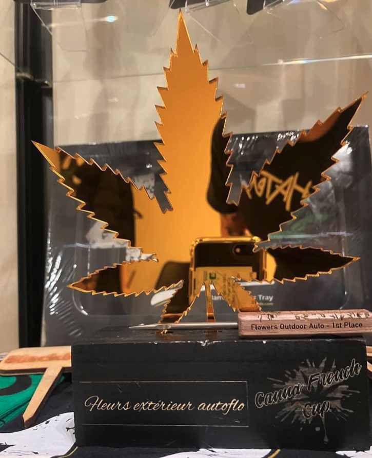Fast_Buds's tweet image. 🏆Award-winning genetics! 🏆
Our Strawberry Gorilla Auto won 1st place in the ‘Flowers Outdoor Auto’ category at the #cannafrenchcup submitted by our very own #sebastiangood420