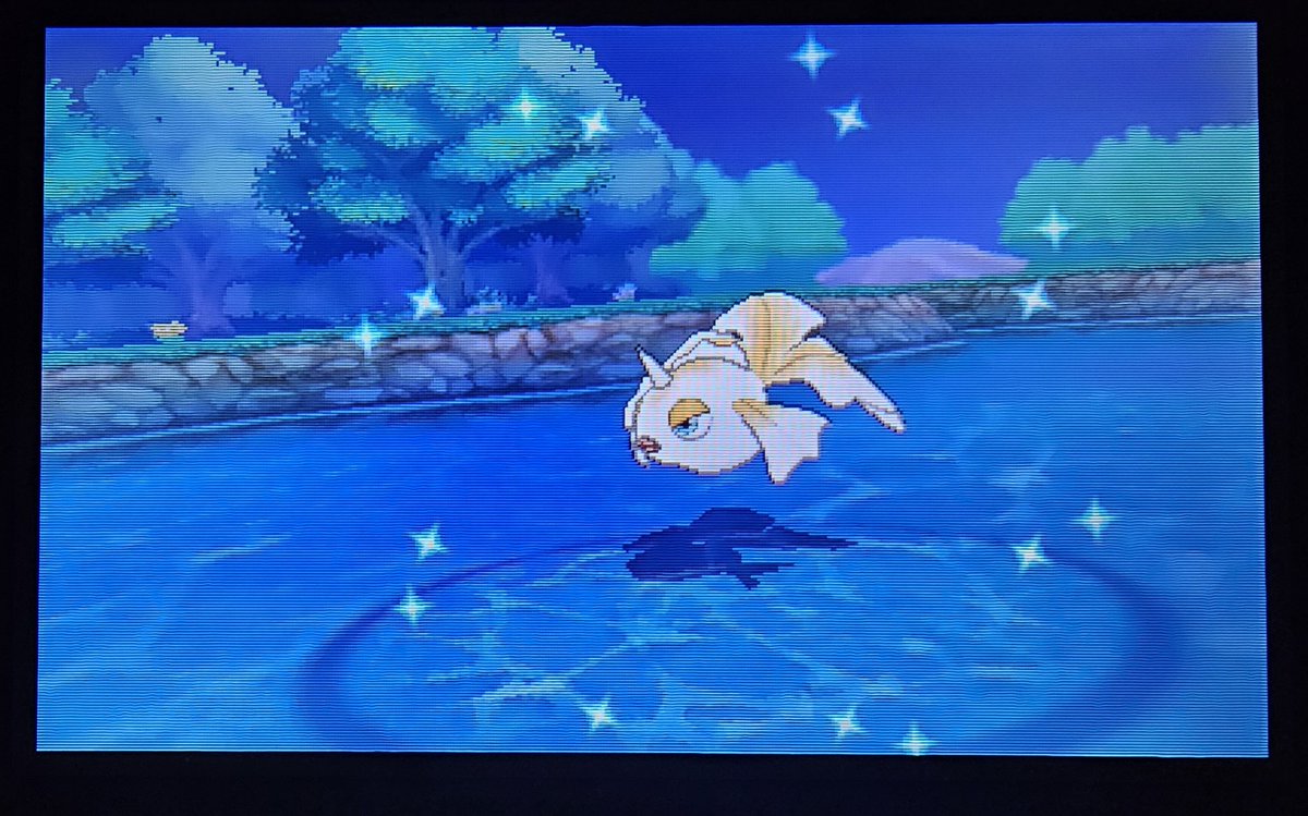 KomodoLord's tweet image. 286 dexnav encounters!! 😍😍

✨️ Will remain a Goldeen ✨️
Goldeen 2/2

#ShinyPokemon
#ShinyMasterDex 1256/TBD
#PokemonOmegaRuby
#AceShinyHunters