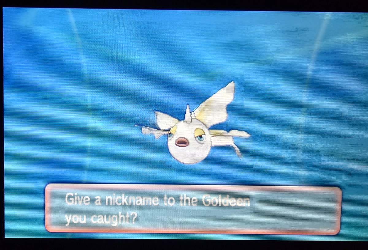 KomodoLord's tweet image. 286 dexnav encounters!! 😍😍

✨️ Will remain a Goldeen ✨️
Goldeen 2/2

#ShinyPokemon
#ShinyMasterDex 1256/TBD
#PokemonOmegaRuby
#AceShinyHunters