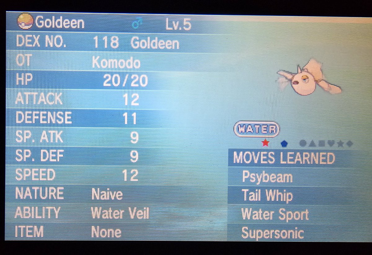 KomodoLord's tweet image. 286 dexnav encounters!! 😍😍

✨️ Will remain a Goldeen ✨️
Goldeen 2/2

#ShinyPokemon
#ShinyMasterDex 1256/TBD
#PokemonOmegaRuby
#AceShinyHunters