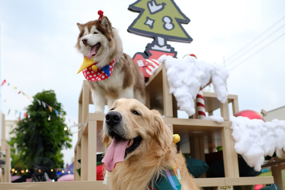 SansiriPLC's tweet photo. จบไปแล้ว กับงาน #SansiriCommunity Event #HereComesTheFun จากแสนสิริ 🐶🐾 งานนี้ ใครๆ ก็บอกว่าสนุกไม่มีแผ่ว ตลอด 3 สัปดาห์เลยค่ะ
เอ็นจอยไม่แพ้คนในงาน ก็คงเป็นแก๊ง 4 ขา 🐈 ทั้งสุนัขและแมว ที่มาร่วมงานค่ะ แฮปปี้แค่ไหน ให้ภาพบรรยายเลยง้าบบ 🥰 https://t.co/Za7D512DkF