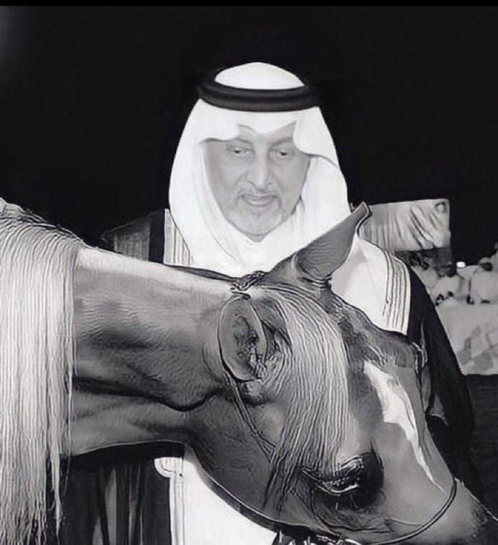 مـوطــن tweet media