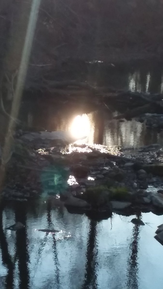 Spirit2Connect's tweet photo. Original #photo + 3 screenshots. 
#spiritual #energy #spirits #nature #river #sunreflection
@Diane_Dee https://t.co/HdB5H0TzTK
