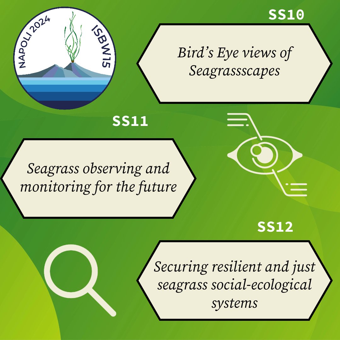 ISBW15_WSC24's tweet photo. β°tic toc..less than 1 month to submit your abstract, have you already done it?
We are organizing exciting events for you at the #isbw15, exploring #seagrass #monitoring, novel #restoration approaches, and much more!!!
Vi aspettiamo ...π
β‘οΈ15 December https://t.co/H4Pnxny3BP