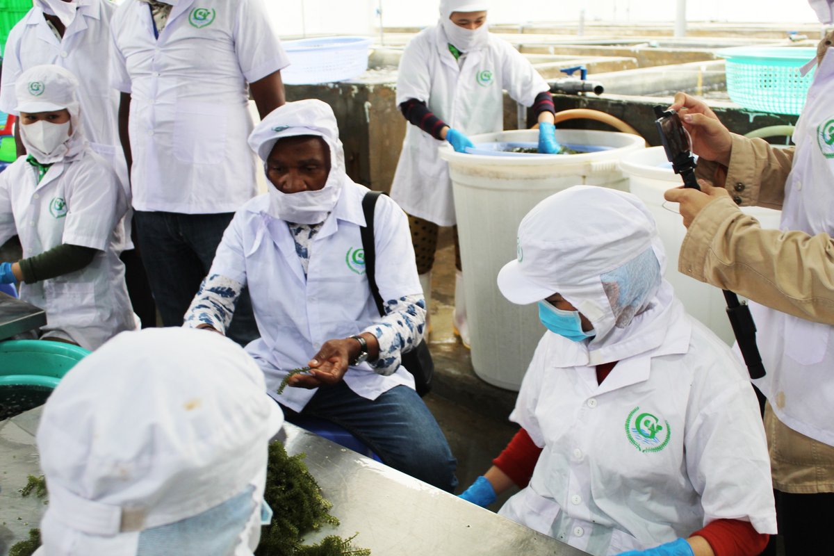 UNCTAD's tweet photo. Despite its rich natural resources, one third of Angola’s population still lives below the international poverty line.
With @UNCTAD & the European Union's support, Angola is focusing on developing the fisheries & aquaculture sector. ➡️https://t.co/XyQARiPfwL
#WorldFisheriesDay https://t.co/djEh94NRZj