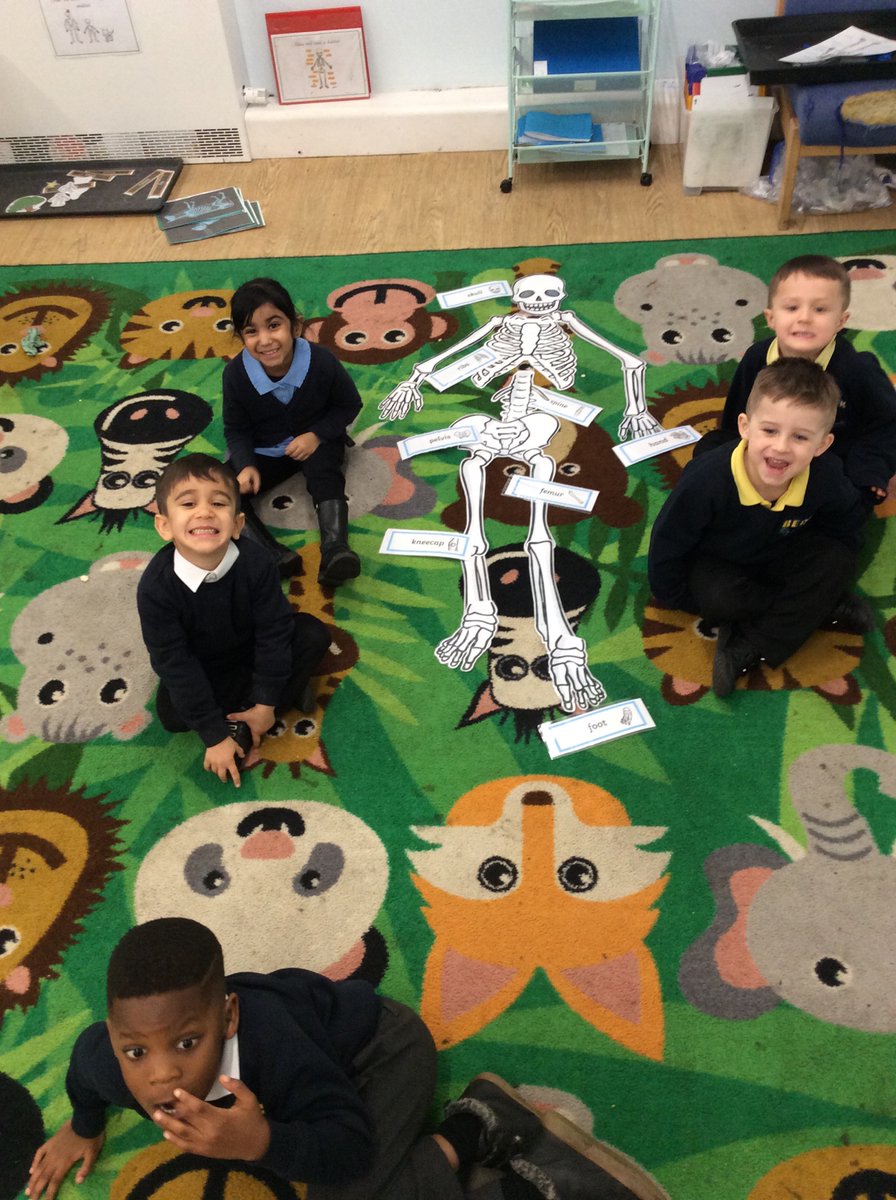 FS2Beck's tweet photo. In F2 this week we have been learning all about the bones in our body and have been putting them together to make a human skeleton.
#EYFS #EarlyyearsUTW #BeckF2 https://t.co/Gb0SWJoPXw